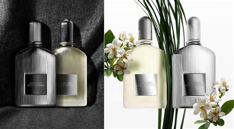 prada carbon vs grey vetiver